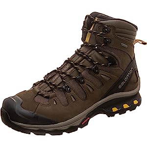 Salomon Men’s Quest 4d 3 GTX Backpacking Boots