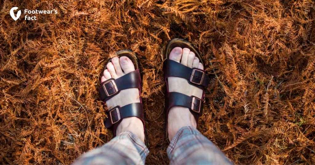 Are Birkenstocks Grounding Shoes?