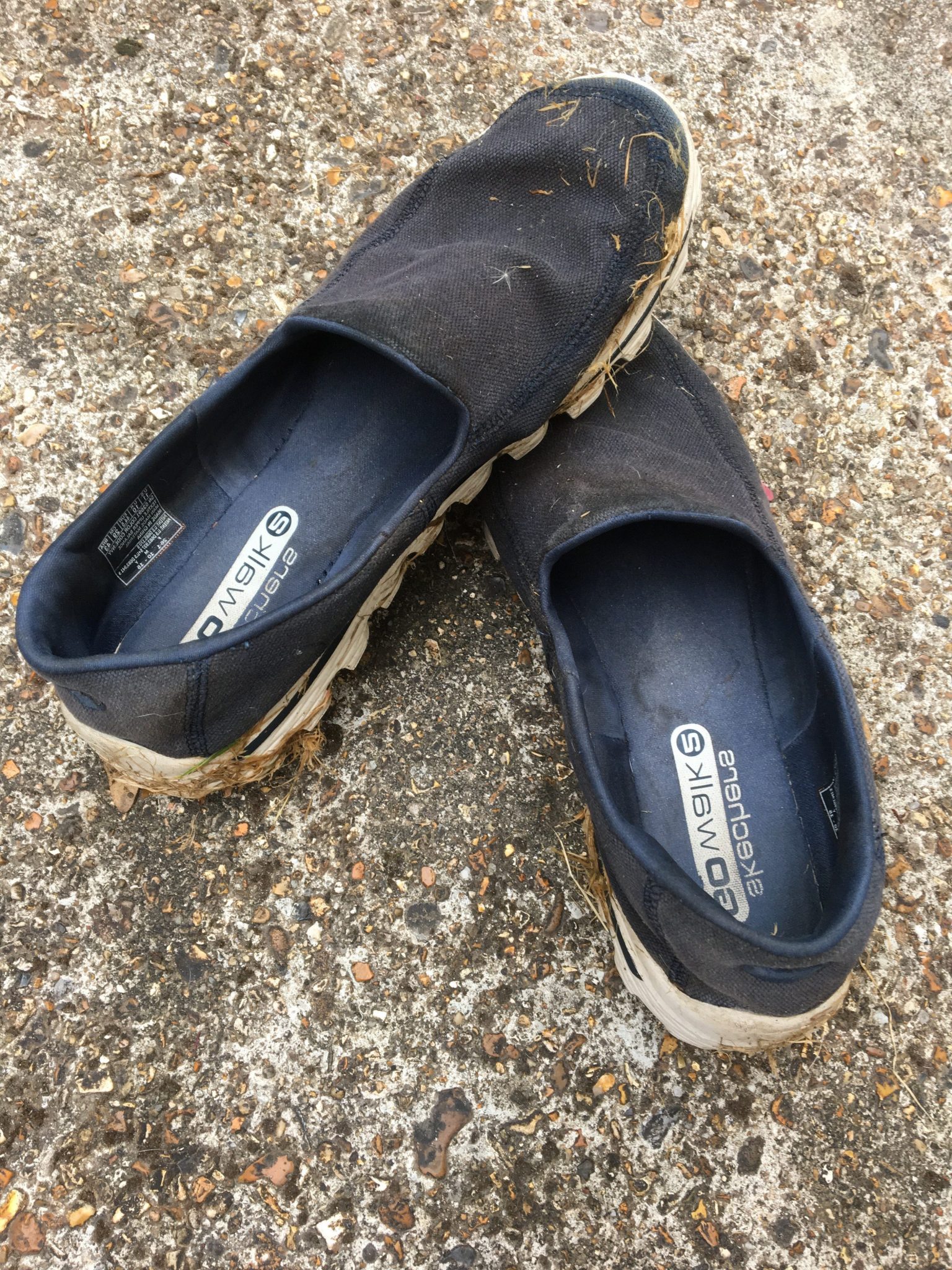 Why Are Skechers Hated 2?