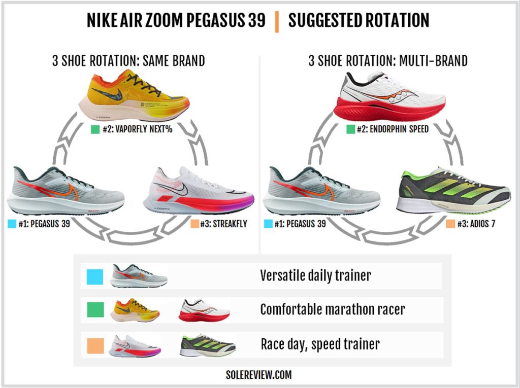 Nike Pegasus 39 Premium Vs Regular: Which One is Right for You?