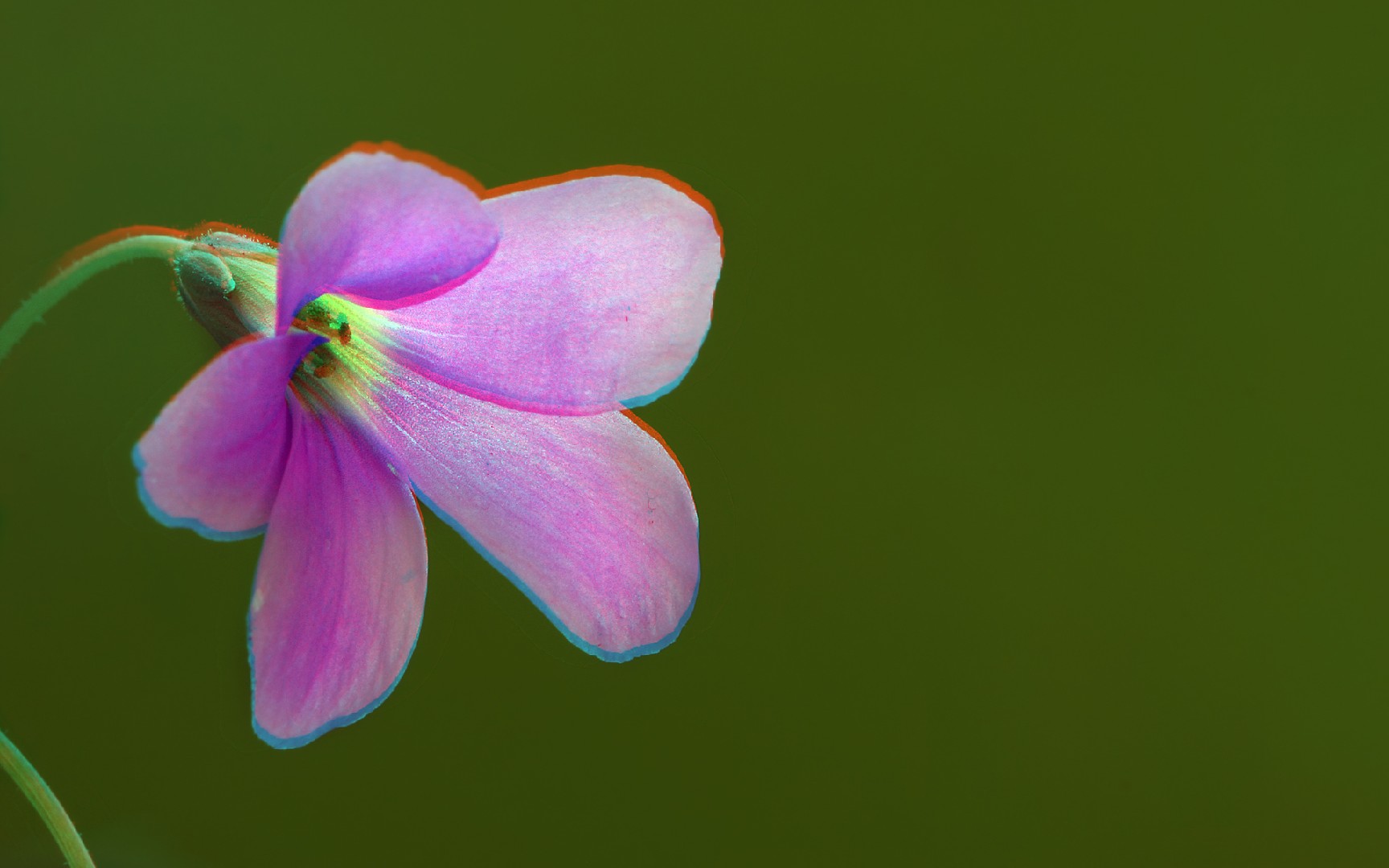 Get Ready For Summer With Nike Shoes That Change Color In The Sun