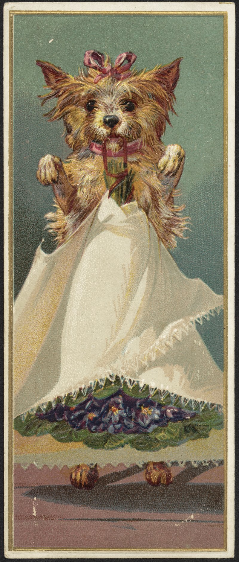 Go Wild With Nike Women'S Animal Print Shoes