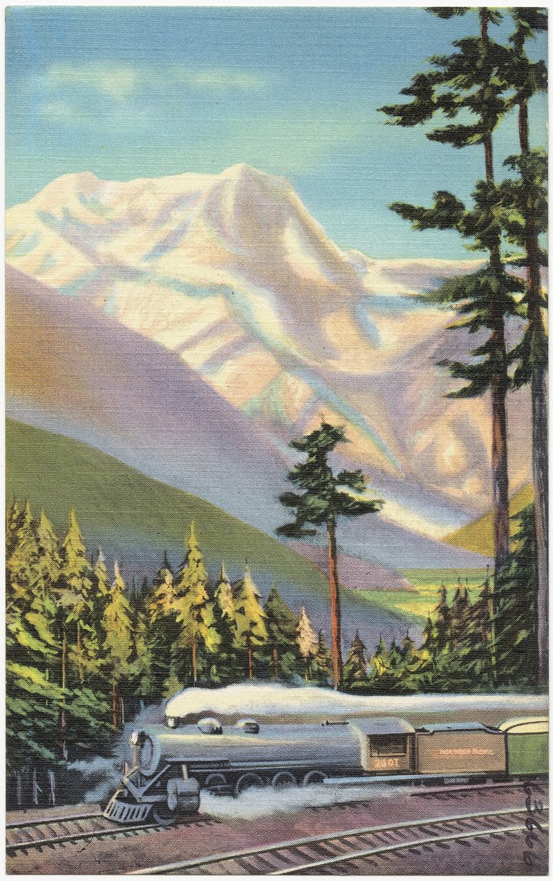 Where In Little Rock Can I Buy Reebok Princess Shoes?