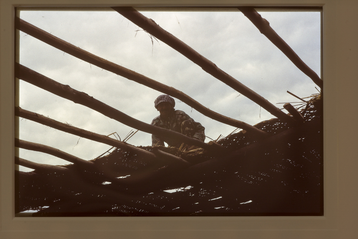 Nike Air Force 1 07 Wb: Review And Comparison With Other Air Force 1 Models