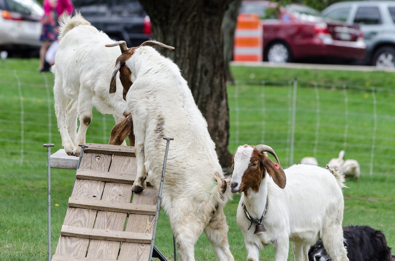 Does Vibram Support Israel?