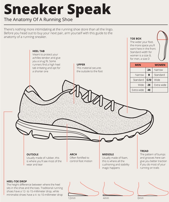 search image 2 Saucony Vs Asics Sizing 2