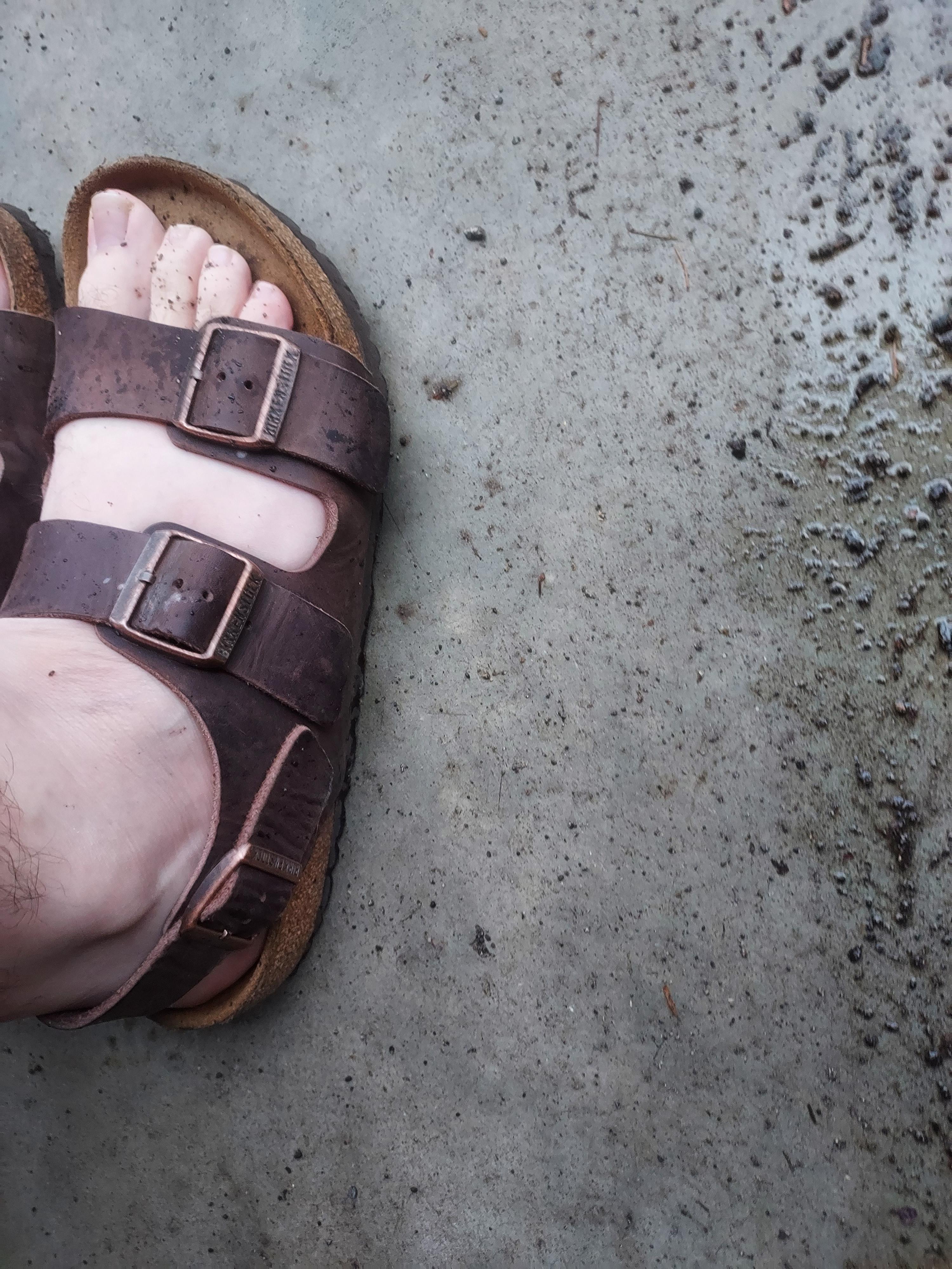 Birkenstock Milano Vs Arizona - scrap_google_ccl